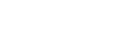בקר Nano Elite